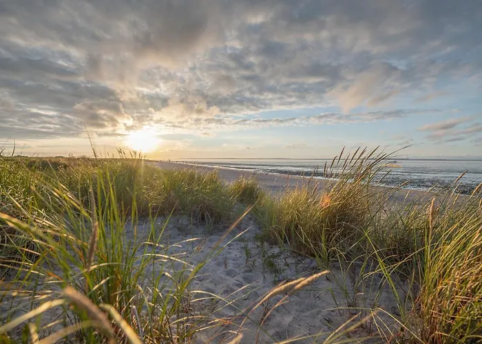 Nyaraló As Schillig